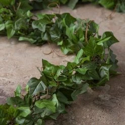 Deals 😍 6ft. Chain Ivy Garland by Ashland® 😀 -Ashlandty Shop 10307751 22