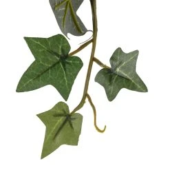 Flash Sale ⌛ Assorted Mini English Ivy Bush by Ashland® 🤩 -Ashlandty Shop 10308569 20