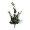 Flash Sale β Assorted Mini English Ivy Bush by Ashland® π€© 1 Flash Sale β Assorted Mini English Ivy Bush by Ashland® π€© -Ashlandty Shop 10308569 21