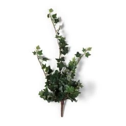 Flash Sale ⌛ Assorted Mini English Ivy Bush by Ashland® 🤩