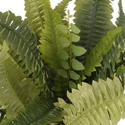 Promo ✔️ Boston Fern Bush Fern Collection by Ashland® ✔️ -Ashlandty Shop 10309260 2