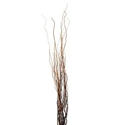 Brand new ✨ Natural Curly Willow by Ashland® 🛒