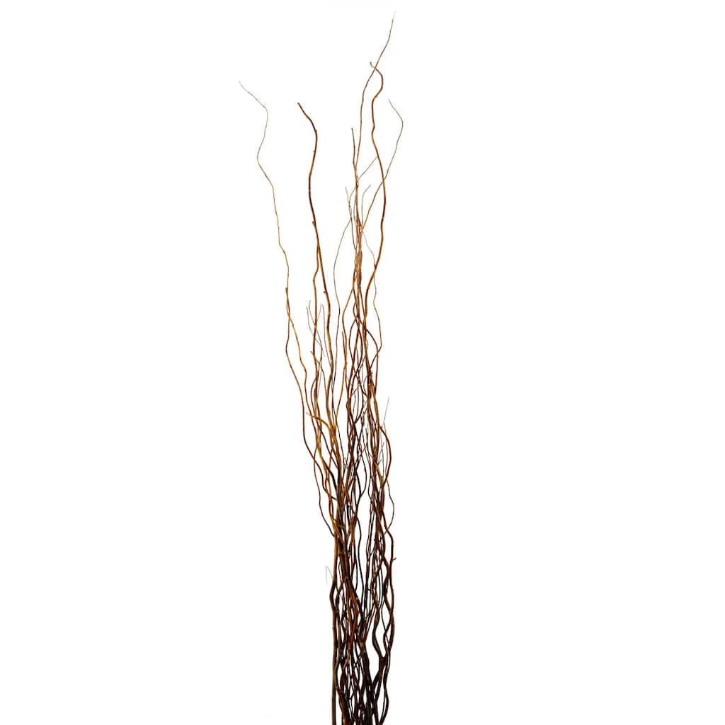 Brand new β¨ Natural Curly Willow by Ashland® π 3 Brand new β¨ Natural Curly Willow by Ashland® π