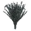 Flash Sale ❤️ Green Eucalyptus Bunch by Ashland®, 16oz. 🎉 -Ashlandty Shop 10322552 1