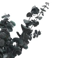 Flash Sale ❤️ Green Eucalyptus Bunch by Ashland®, 16oz. 🎉 -Ashlandty Shop 10322552 2