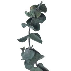 Flash Sale ❤️ Green Eucalyptus Bunch by Ashland®, 16oz. 🎉 -Ashlandty Shop 10322552 20