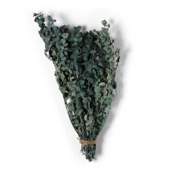 Flash Sale ❤️ Green Eucalyptus Bunch by Ashland®, 16oz. 🎉 -Ashlandty Shop 10322552 21