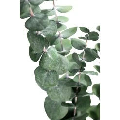 Coupon 💯 Ashland® Eucalyptus Bunch, 4 oz. 🌟 -Ashlandty Shop 10333062 2