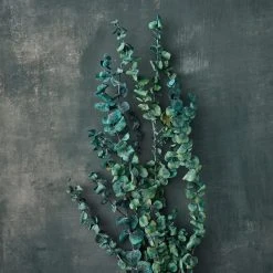 Coupon 💯 Ashland® Eucalyptus Bunch, 4 oz. 🌟 -Ashlandty Shop 10333062 20