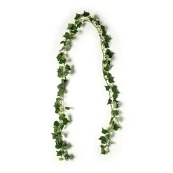 Best reviews of 👍 Assorted 6ft. Mini Ivy Garland by Ashland® ✨