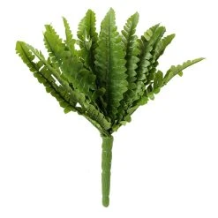 Top 10 ⭐ Ashland® Fern Collection Mini Boston Fern Bush ✨