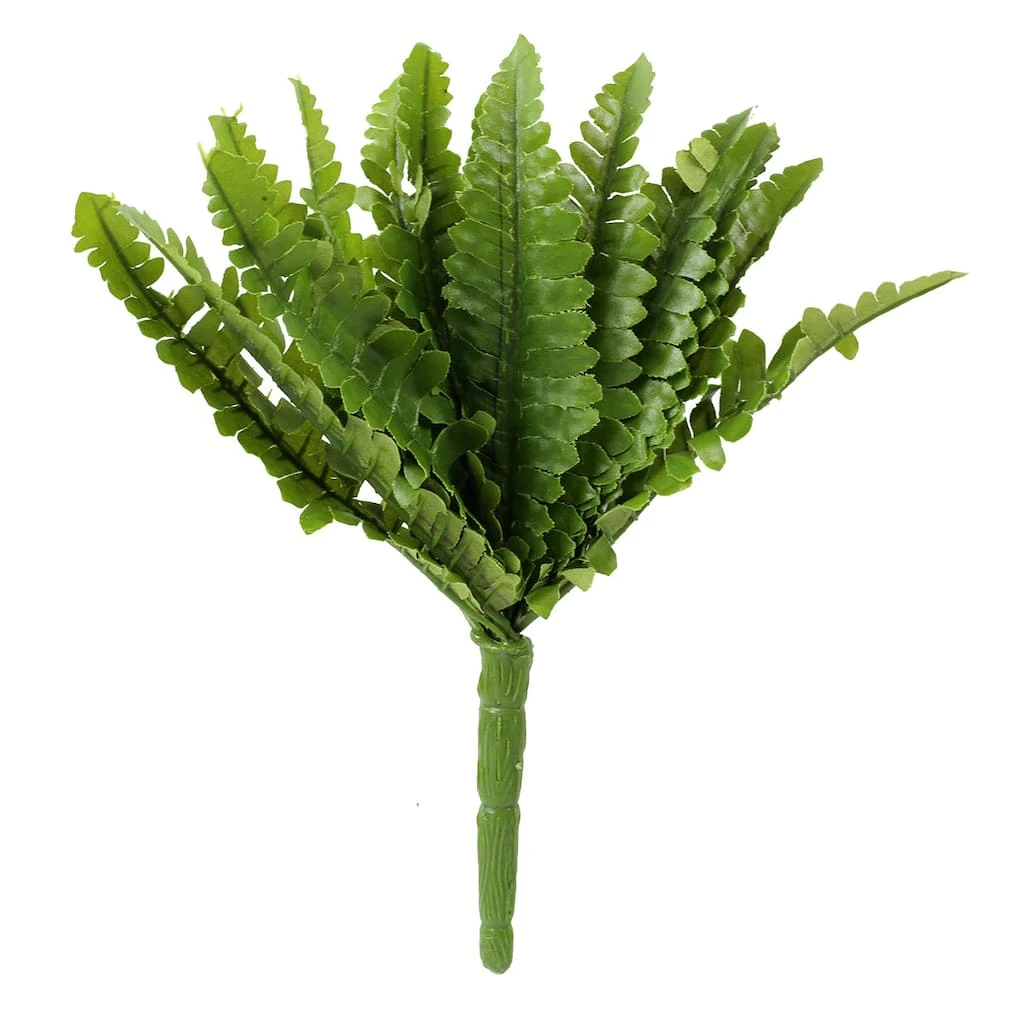 Top 10 ⭐ Ashland® Fern Collection Mini Boston Fern Bush ✨ 3 Top 10 ⭐ Ashland® Fern Collection Mini Boston Fern Bush ✨