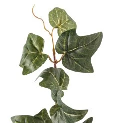 Cheapest 👍 German Ivy Bush Ivy Collection by Ashland® ✔️ -Ashlandty Shop 10335273 20