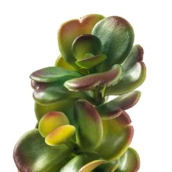 Buy 🔔 Green & Orange Succulent Pick by Ashland® ❤️ -Ashlandty Shop 10337814 20