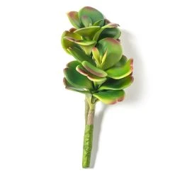 Buy 🔔 Green & Orange Succulent Pick by Ashland® ❤️ -Ashlandty Shop 10337814 21