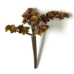 Discount ⭐ Creeping Red Sedum Pick by Ashland® ❤️ -Ashlandty Shop 10337815 21