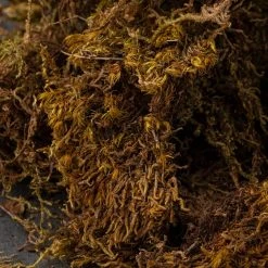 Budget 😉 Deco Moss by Ashland® 🤩 -Ashlandty Shop 10341503 22