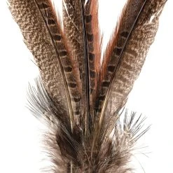 Budget 🤩 Pheasant Feather Picks by Ashland® 🥰 8 Budget 🤩 Pheasant Feather Picks by Ashland® 🥰 -Ashlandty Shop 10355706 20