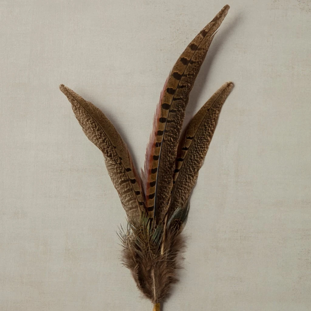 Budget 🤩 Pheasant Feather Picks by Ashland® 🥰 6 Budget 🤩 Pheasant Feather Picks by Ashland® 🥰 - Image 4