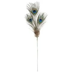 Promo ⌛ Peacock Feather Picks by Ashland® 🧨 -Ashlandty Shop 10355707 2