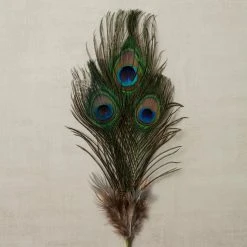 Promo ⌛ Peacock Feather Picks by Ashland® 🧨 -Ashlandty Shop 10355707 25