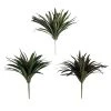Cheapest 🎉 12 Pack: Assorted Cordyline Bush by Ashland® ❤️ -Ashlandty Shop 10356827 1
