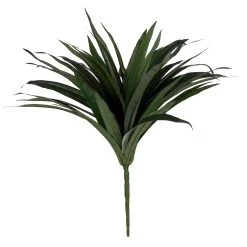 Budget 👍 Assorted Cordyline Bush by Ashland® ❤️ -Ashlandty Shop 10356827 2