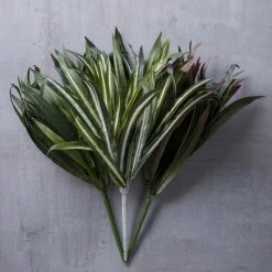 Budget 👍 Assorted Cordyline Bush by Ashland® ❤️ -Ashlandty Shop 10356827 22