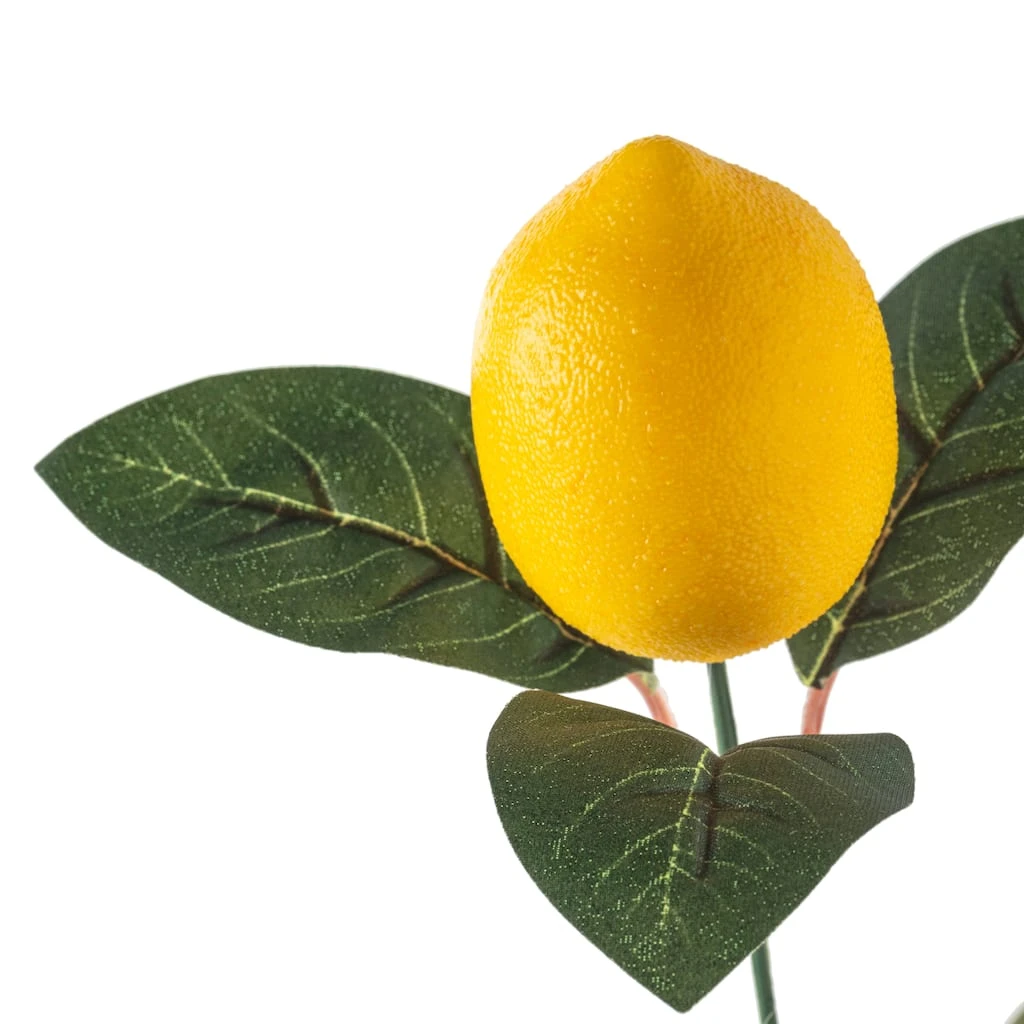Hot Sale ✔️ Artificial Lemon Bushes by Ashland® 🎁 5 Hot Sale ✔️ Artificial Lemon Bushes by Ashland® 🎁 - Image 3