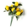 Hot Sale โ๏ธ Artificial Lemon Bushes by Ashland® ๐ 1 Hot Sale โ๏ธ Artificial Lemon Bushes by Ashland® ๐ -Ashlandty Shop 10360024 21