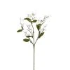 Best deal ⌛ Double Baby's Breath Stem by Ashland® ⌛ -Ashlandty Shop 10368584 1