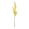Wholesale 💯 Dancing Orchid by Ashland® 🛒 -Ashlandty Shop 10381029 21