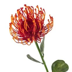 Hot Sale 👏 Tropical Needle Protea Spray by Ashland® 🤩 -Ashlandty Shop 10381033 20
