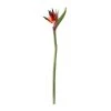 Buy ⭐ Tropical Bird of Paradise Stem by Ashland® 🎁 -Ashlandty Shop 10390624 21