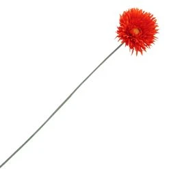 Best deal 🛒 Spider Gerbera Daisy Spray by Ashland® 👏