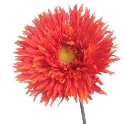 Best Pirce ✨ 12 Pack: Orange Spider Gerbera Daisy Spray by Ashland® ✔️ 9 Best Pirce ✨ 12 Pack: Orange Spider Gerbera Daisy Spray by Ashland® ✔️ -Ashlandty Shop 10392668 2