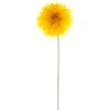 Deals 😍 12 Pack: Yellow Spider Gerber Daisy Stem by Ashland® 🥰