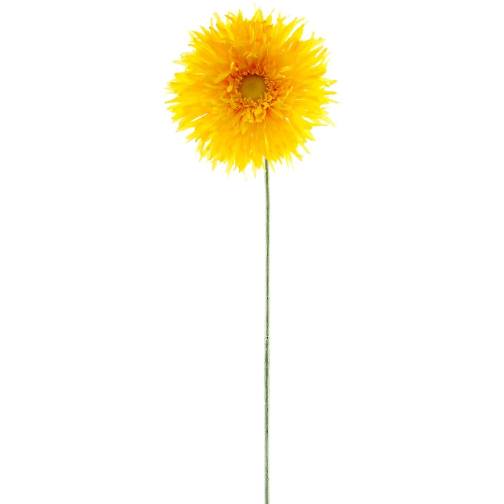 Deals 😍 12 Pack: Yellow Spider Gerber Daisy Stem by Ashland® 🥰 3 Deals 😍 12 Pack: Yellow Spider Gerber Daisy Stem by Ashland® 🥰