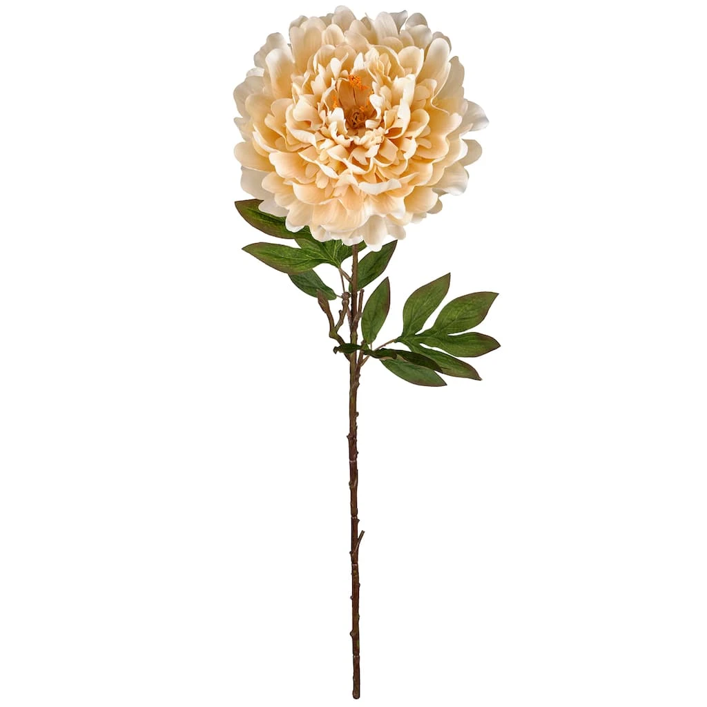 Best Pirce π₯° Jumbo Cream Peony Stem by Ashland® β¨ 3 Best Pirce π₯° Jumbo Cream Peony Stem by Ashland® β¨