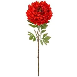 Cheapest ⭐ Jumbo Red Peony Stem by Ashland® ✔️