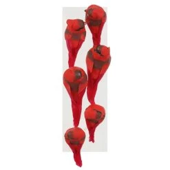 Budget ⭐ Red Cardinal Set by Ashland® 🥰 -Ashlandty Shop 10407691 2