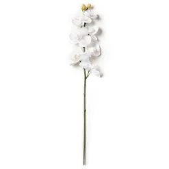 Brand new 🌟 Phaleanopsis Orchid by Ashland® ✨ -Ashlandty Shop 10413038 21