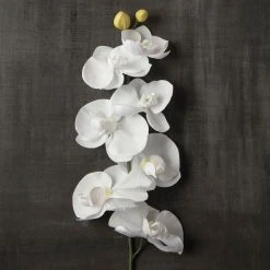 Brand new 🌟 Phaleanopsis Orchid by Ashland® ✨ -Ashlandty Shop 10413038 25