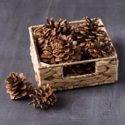 Wholesale 😀 Pinecone Bag by Ashland® 🛒 -Ashlandty Shop 10424644 22