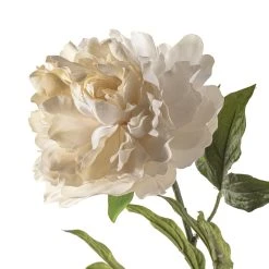 Cheap π White Peony Spray by Ashland® Classic Traditions™ π 8 Cheap π White Peony Spray by Ashland® Classic Traditions™ π -Ashlandty Shop 10430216 20