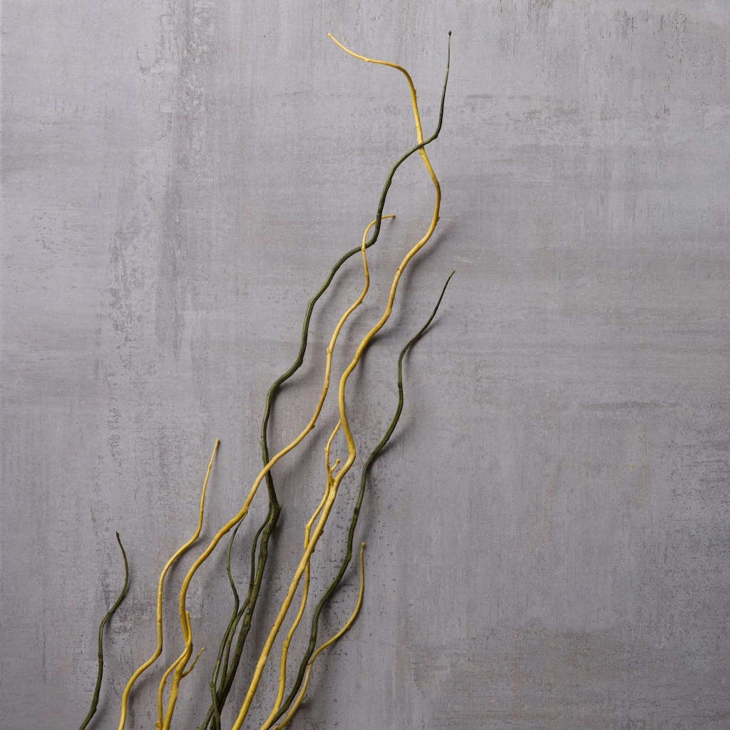 Flash Sale ❤️ Tropical Twig Branch by Ashland® ✔️ 4 Flash Sale ❤️ Tropical Twig Branch by Ashland® ✔️ - Image 2