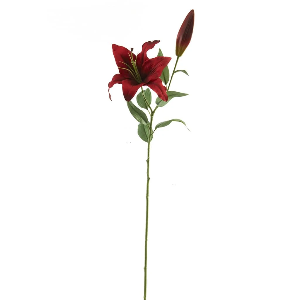 Cheapest β€οΈ Ashland® Casablanca Lily Stem π 3 Cheapest β€οΈ Ashland® Casablanca Lily Stem π