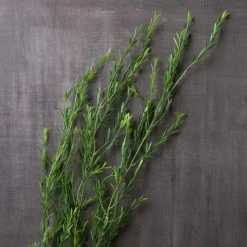 Best deal 👍 Green Trailing Grass Spray by Ashland® 🎁 -Ashlandty Shop 10449806 22