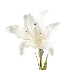 Coupon 💯 White Lily Stem by Ashland Classic Traditions™ 🌟 -Ashlandty Shop 10450085 20