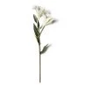 Coupon 💯 White Lily Stem by Ashland Classic Traditions™ 🌟 -Ashlandty Shop 10450085 21